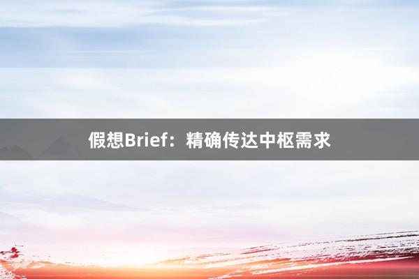假想Brief：精确传达中枢需求