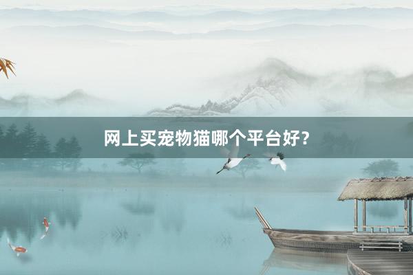 网上买宠物猫哪个平台好?