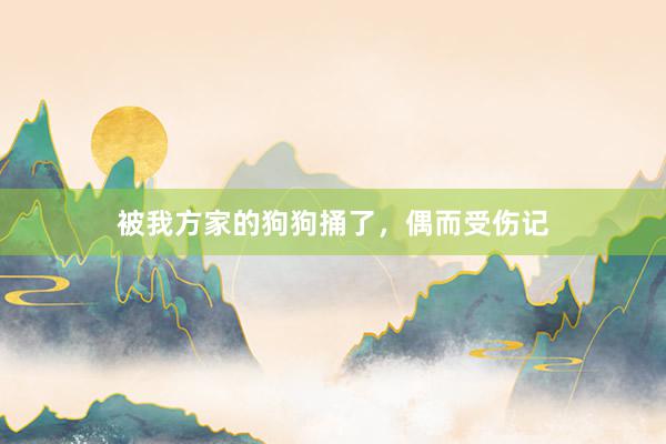 被我方家的狗狗捅了，偶而受伤记